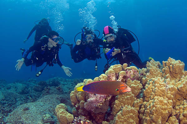 Combo Scuba Diving - Grand Island  With 5 Watersports Ride
